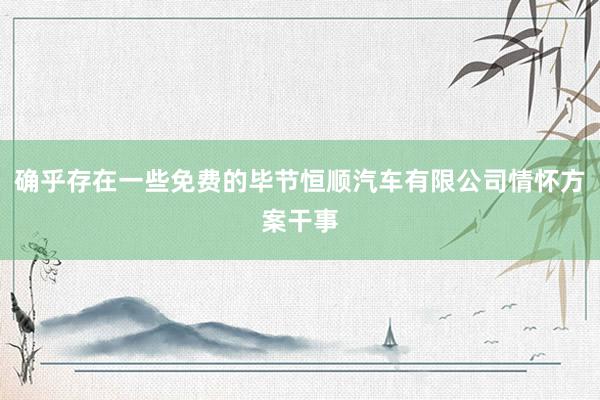 确乎存在一些免费的毕节恒顺汽车有限公司情怀方案干事